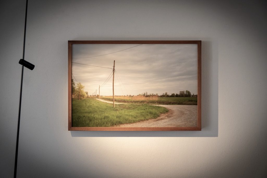 3869104E-FDCA-4B3A-9A18-44DBB943EB53_1_201_a